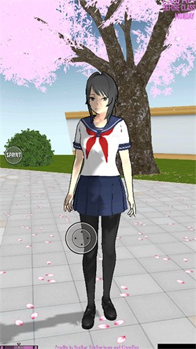 yansim病模