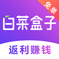 白菜盒子