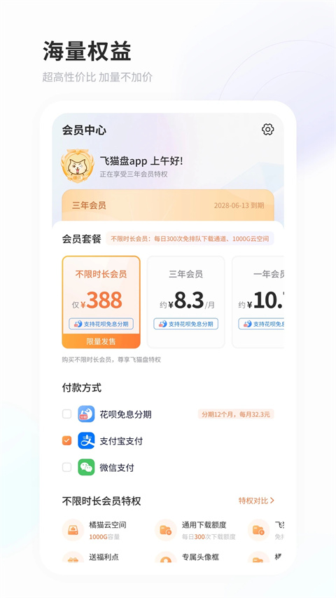 飞猫盘官方版