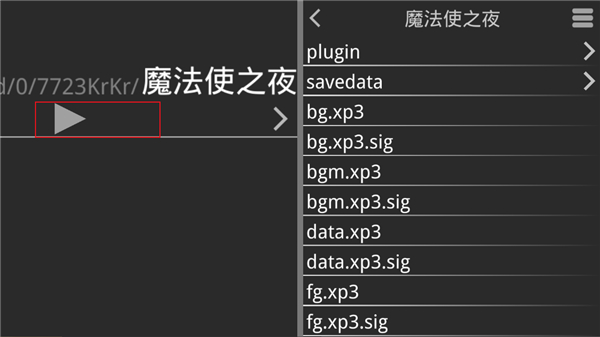 魔法使之夜安卓汉化