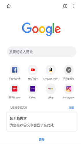 谷歌浏览器外贸版