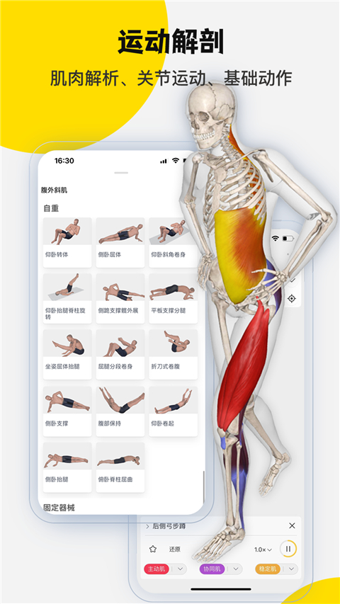 3dbody解剖图手机版
