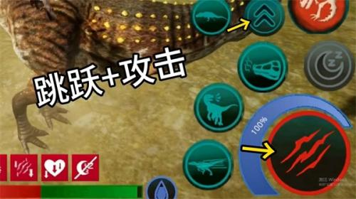 诅咒之岛安卓版
