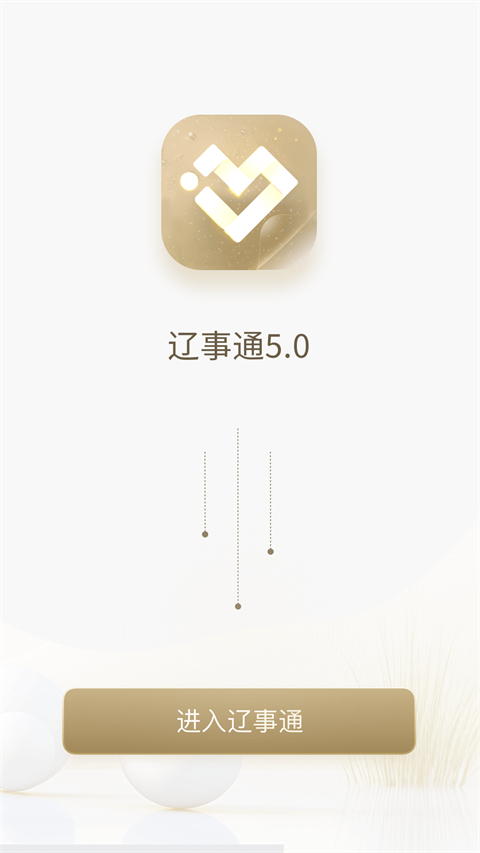 辽事通APP苹果版