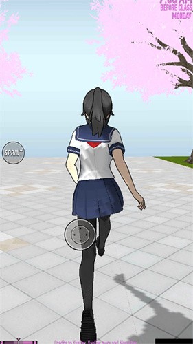 yansim病模