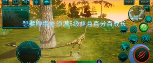 诅咒之岛安卓版
