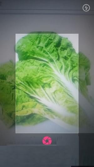 拍照识物app