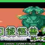 口袋妖怪叶绿版