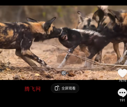 抖音精选APP官方版(原青桃视频) 抖音精选APP官方版(原青桃视频)