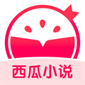 西瓜小说app软件