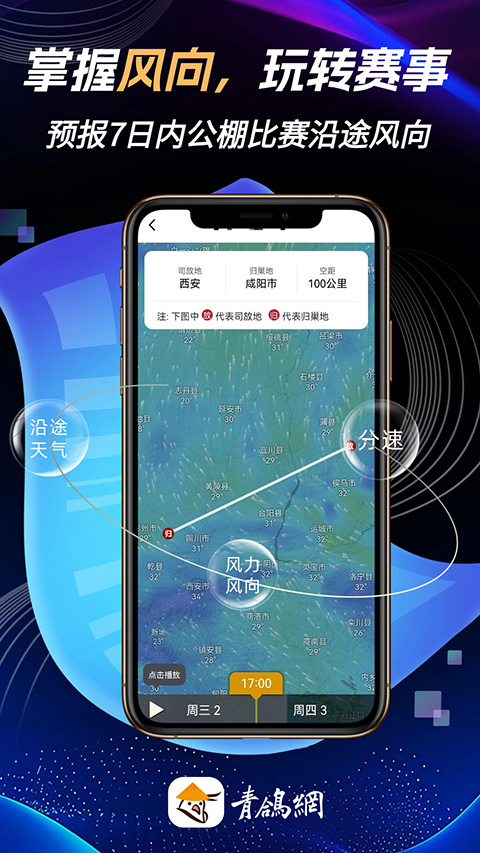 青鸽网app