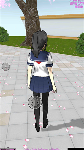 yansim病模