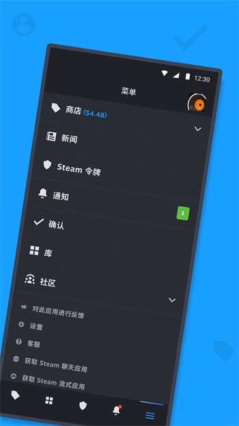 steam国际版