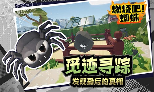 燃烧吧蜘蛛最新版