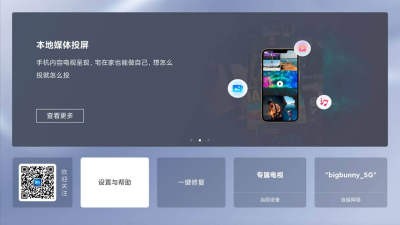 爱投屏tv版