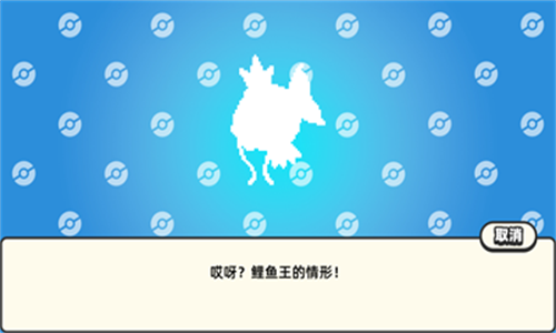 口袋妖怪DS