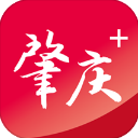 肇庆+App