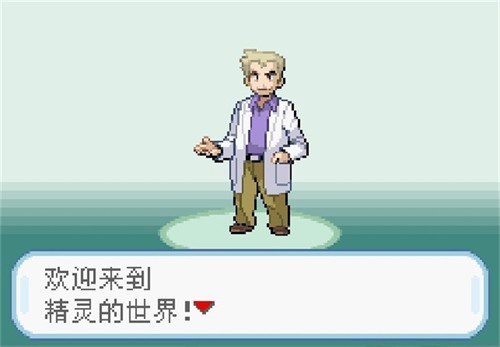 口袋妖怪叶绿版