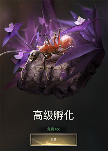 小小蚁国台服