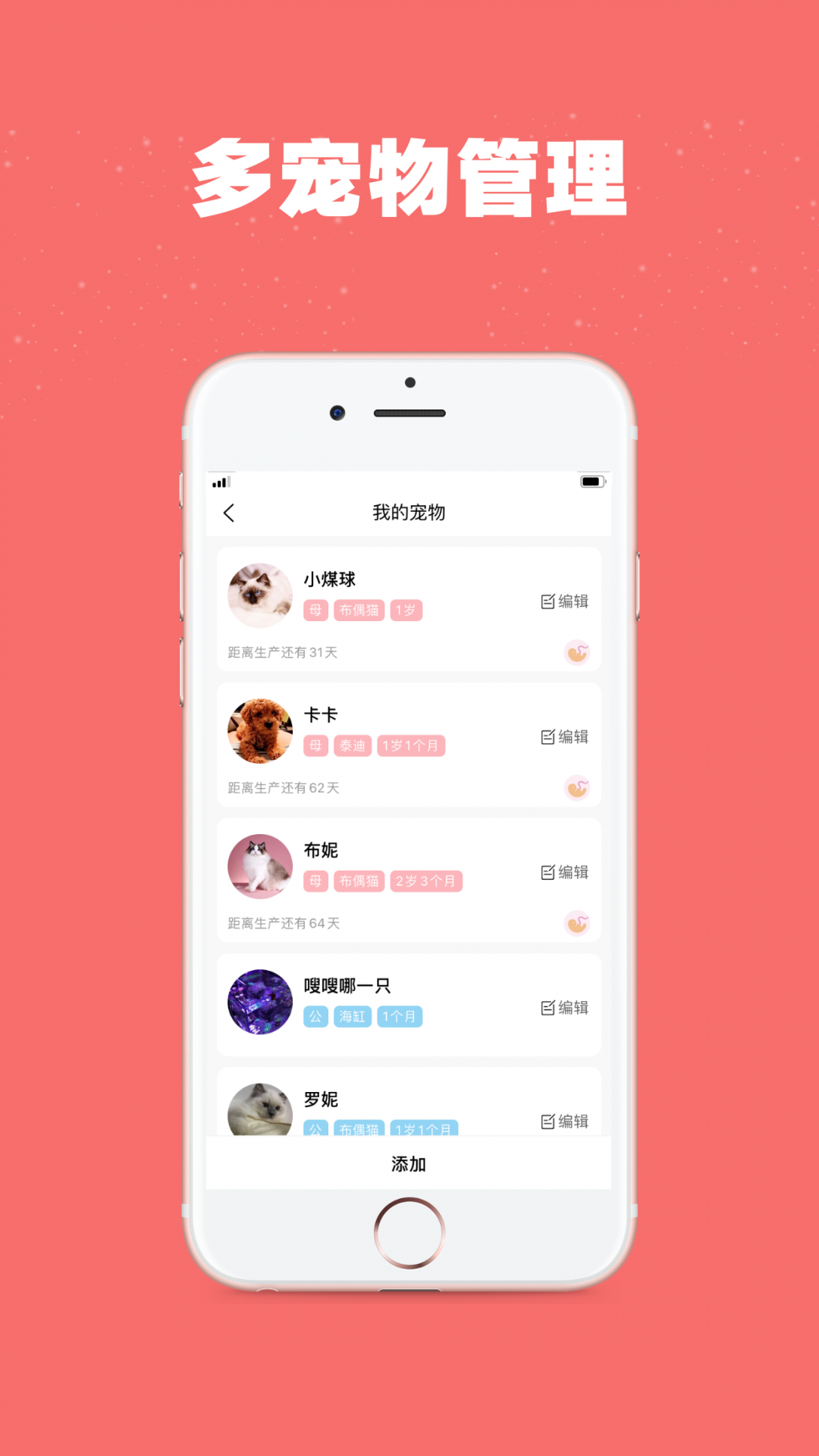 宠物王国app领养条件