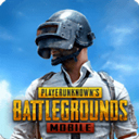 pubg台服