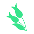 薏米医生APP