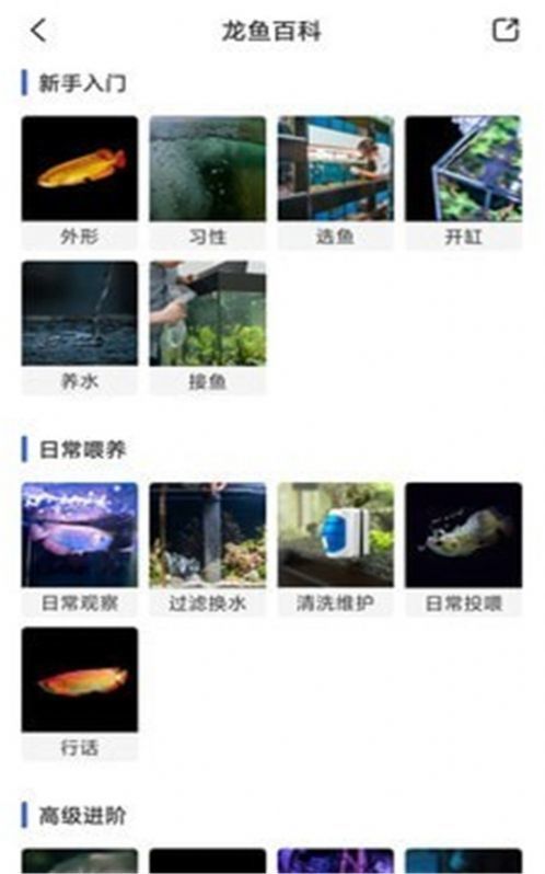 鲲天下最新版