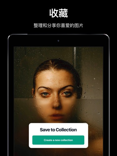 pexels素材中文版官方