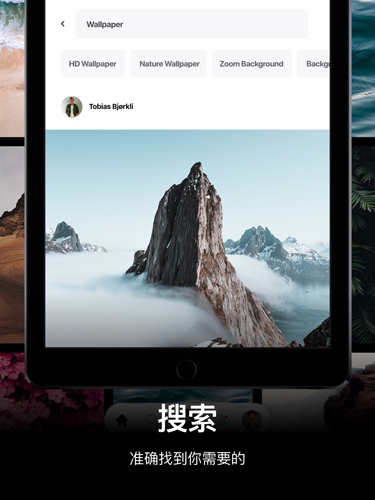 Pexels官方app