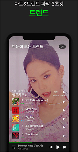 Melon2026最新版