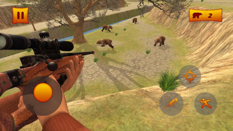 Bear