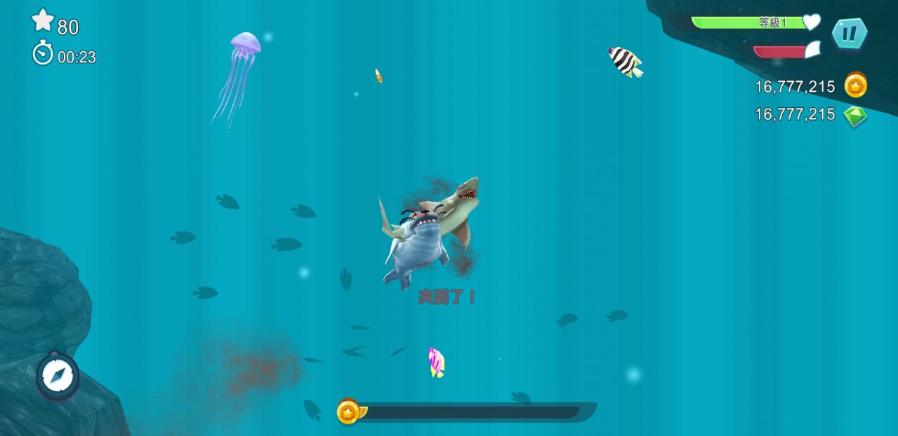 HungryShark