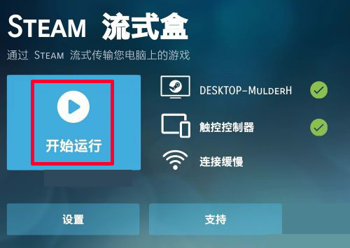 Steam Link10