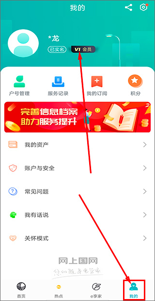 网上国网2024最新版
