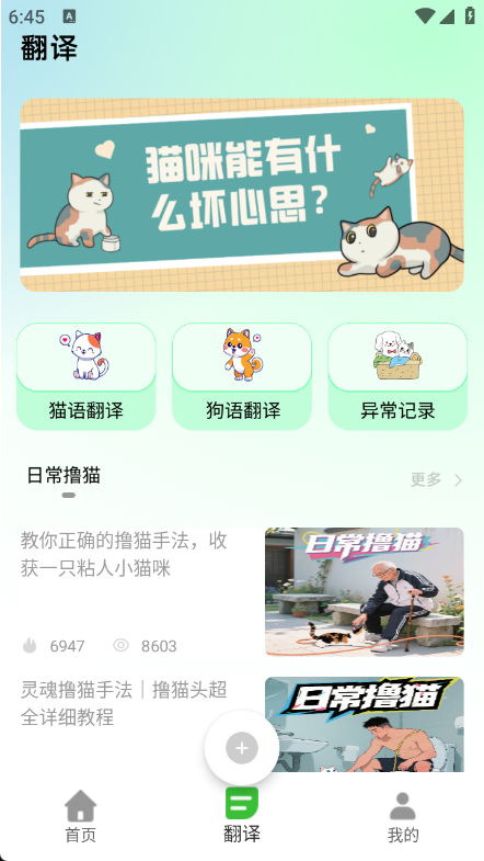 猫语空间app