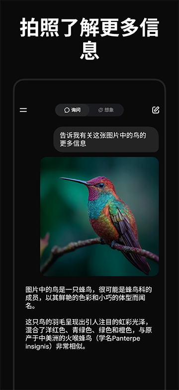 Grok App
