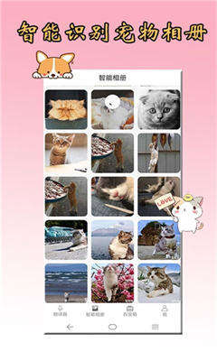 猫狗翻译器安卓版