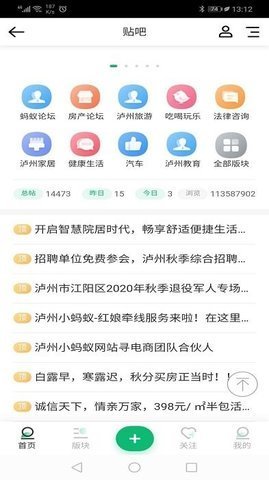 泸州小蚂蚁