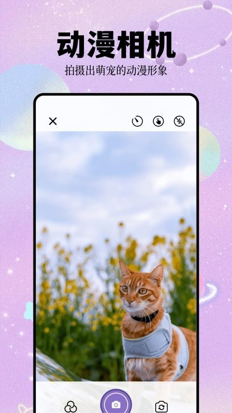 次元城app