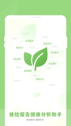 体检报告健康分析助手