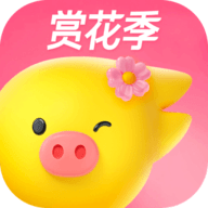 飞猪旅行