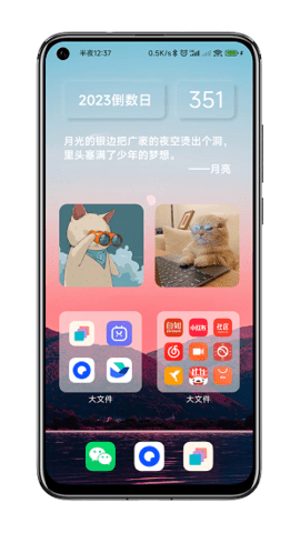 贴纸小组件去除广告版