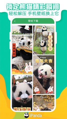 熊猫频道手机版
