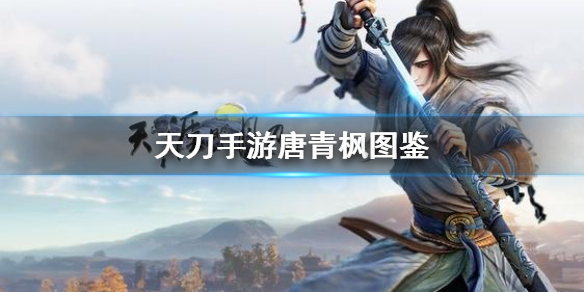 天涯明月刀手游唐青枫怎么样唐青枫图鉴详情一览
