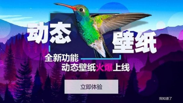 小鸟壁纸app安卓版下载-360小鸟壁纸手机版下载