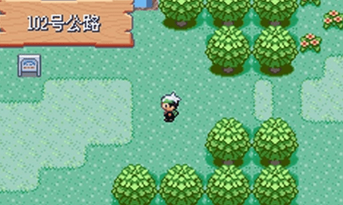 口袋妖怪绿宝石无限大师球版下载-口袋妖怪绿宝石无限金币版下载