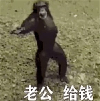 老公给钱表情包猴子动图下载-抖音老公给钱表情包猴子动态图免费下载
