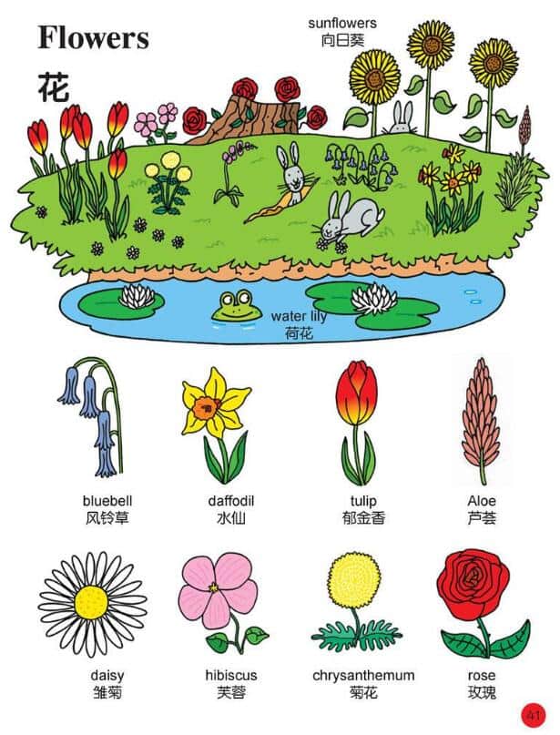 书虫系列英语读物入门电子书下载-牛津书虫系列英语读物下载