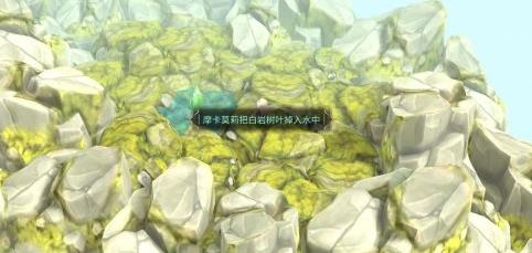 魔女之泉2.6版本-魔女之泉2.6