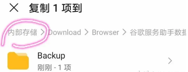 谷歌服务助手最新版下载-谷歌服务助手最新版2021下载